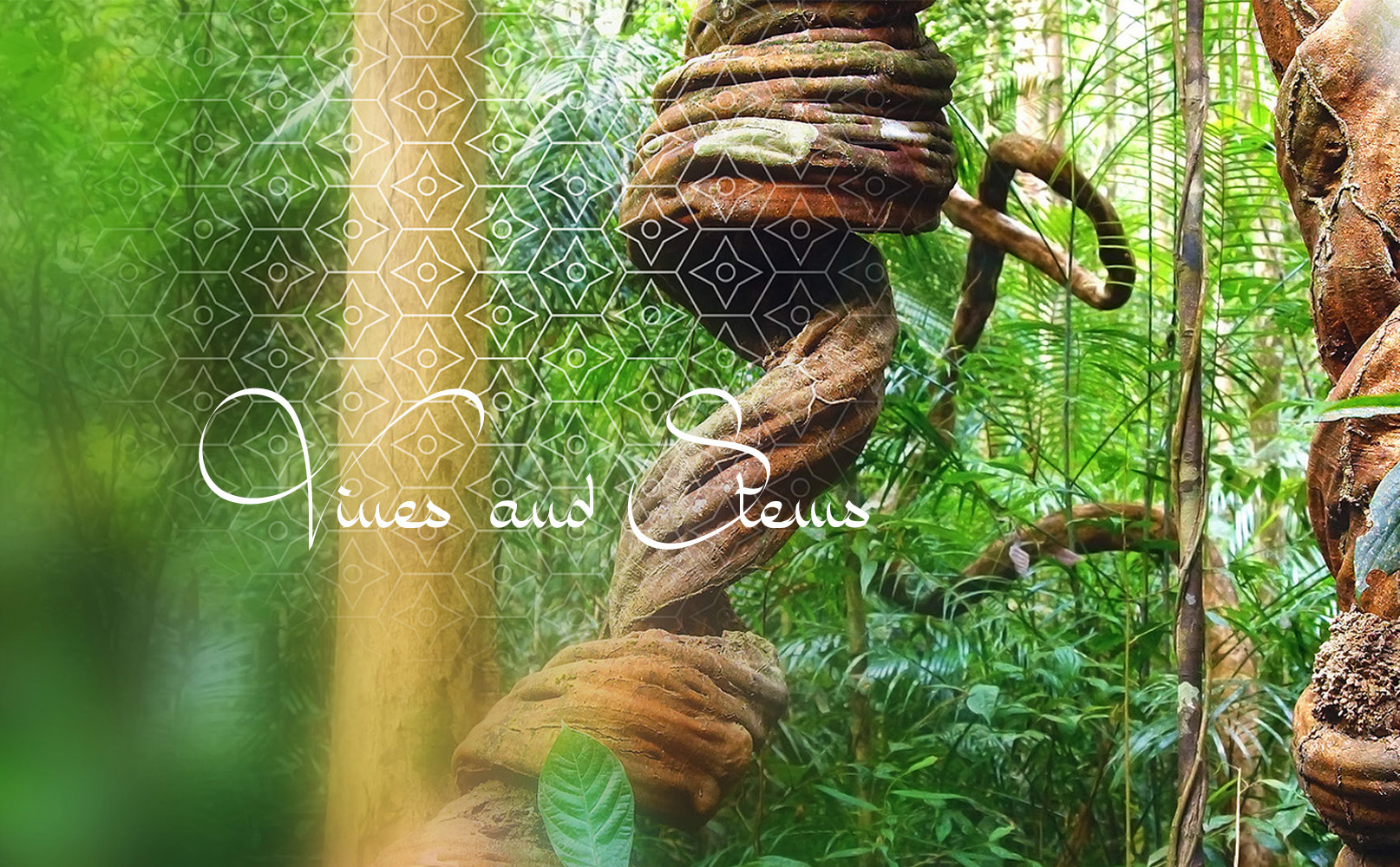 slide4