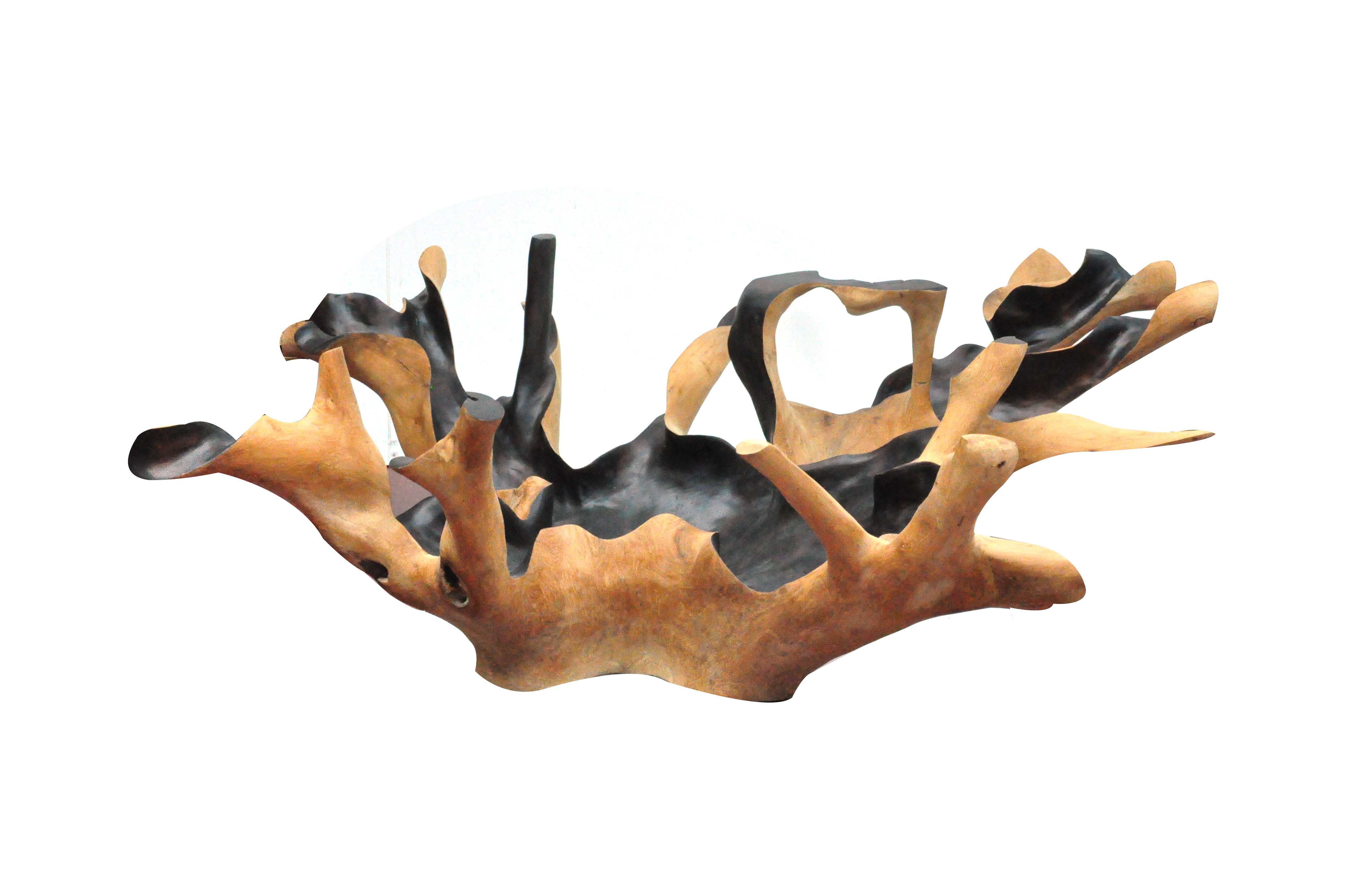 Table de salon racine de bois