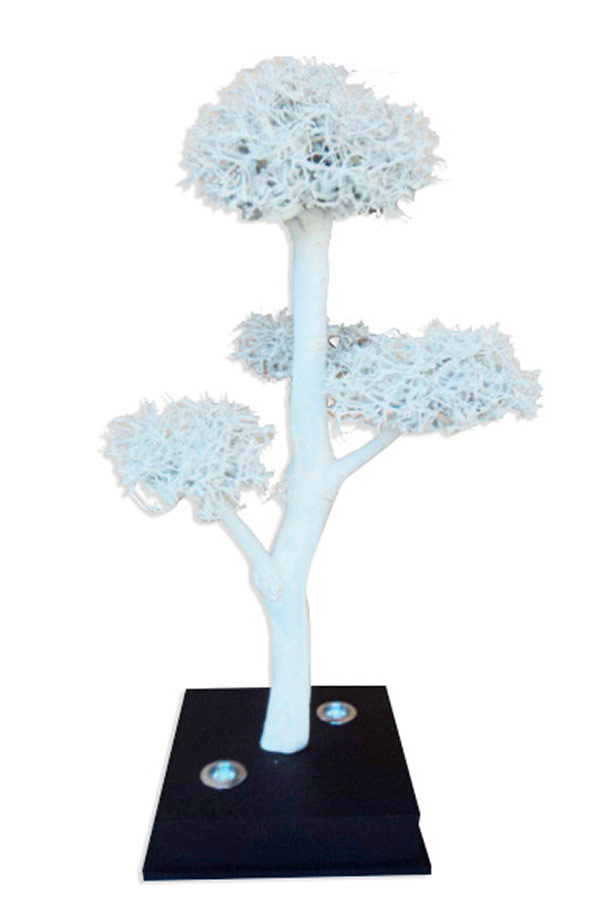Lampe bonsai